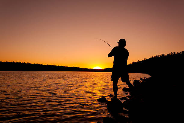 Hooking the Big One at Sunset a fisherman fighting a fish at sunset fisher stock pictures, royalty-free photos & images