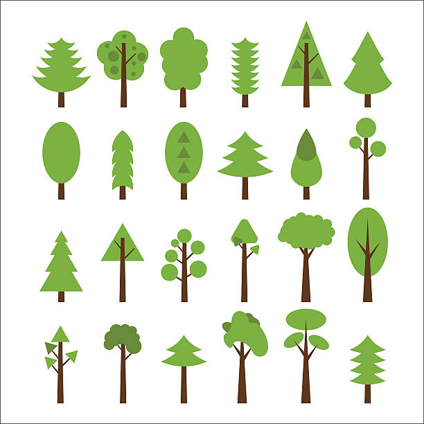 набор плоских иконы дерево. green trees icons набор - autumn backgrounds biology botany stock illustrations