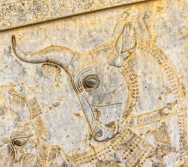 istock Bull relief detail Persepolis 488065120