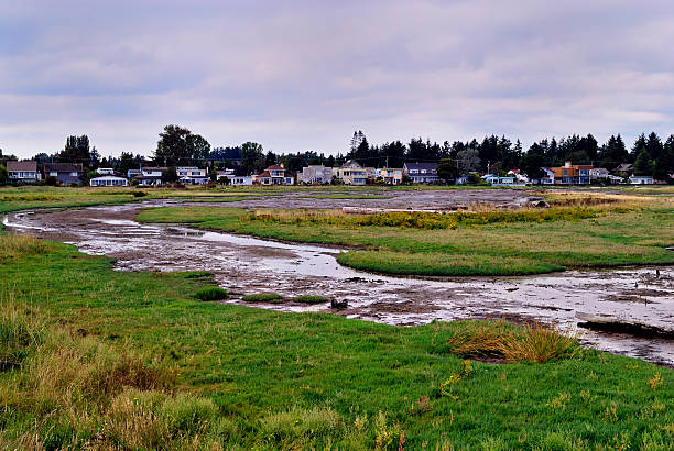 istock Muddy Beach of the Bay 488065676
