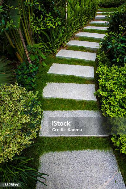 Stone Für Die Sich Ihren Weg Durch Den Ruhigen Garten Stockfoto und mehr Bilder von Baum