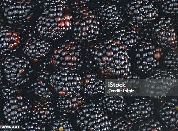 Composition From A Blackberry Stock Photo - Download Image Now - Antioxidant, Blackberry - Fruit, Close-up