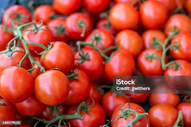 Batch Of Fresh Tomatoes Tomato Stock Photo - Download Image Now - Bunch, Freshness, Fruit