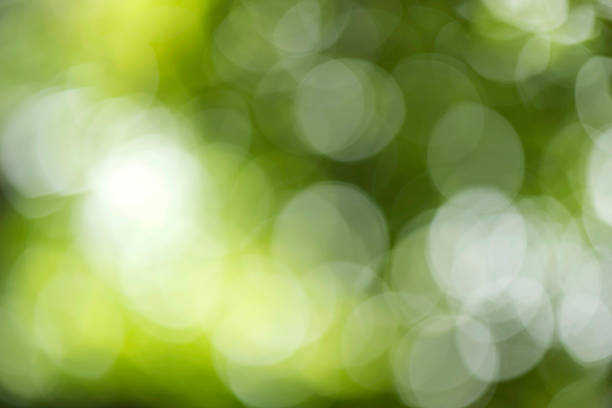 istock Abstract out of focus with green nature background 488079758
