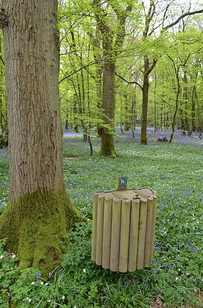 istock Woodland dog waste bin. 488079955
