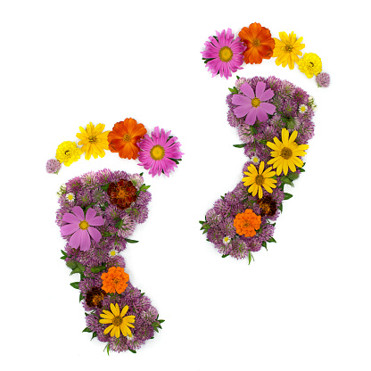 Flowers arranged in footprint shapes isolated on white as healthy symbol