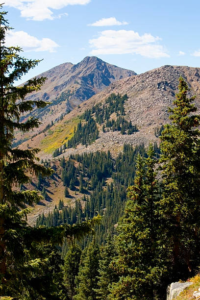 turystów i scenerią na mount yale kolorado - 14000 foot peak zdjęcia i obrazy z banku zdjęć