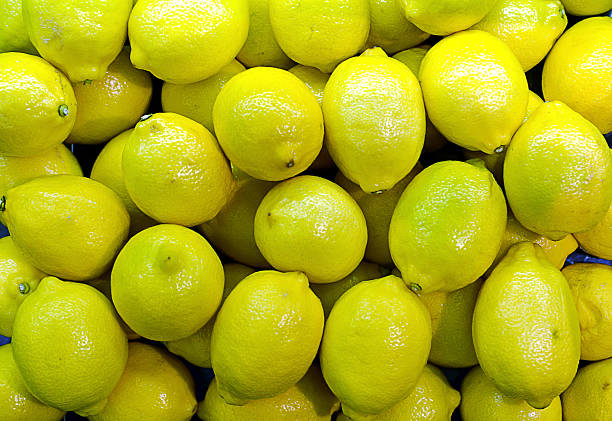istock The lemon is a species of small evergreen tree 488081086