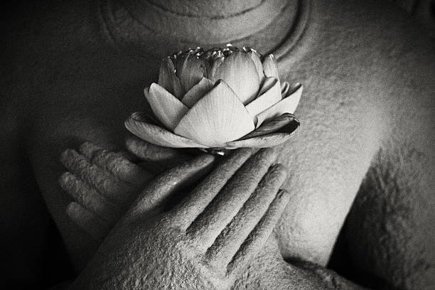 istock Buddha lotus in hand 488081652
