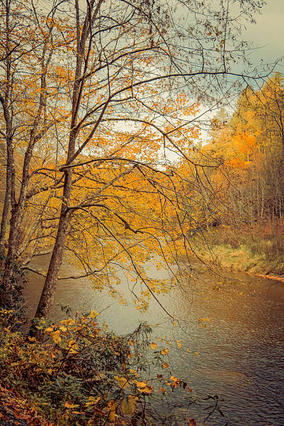 istock River Runs Through Autumn in the Blue Ridge 488082264