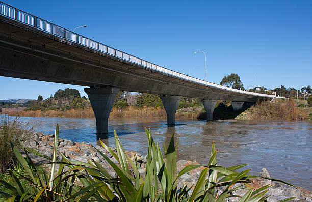 Fitzherbert Bridge, Palmerston North Fitzherbert Bridge running over the Manawatu River, Palmerston North Palmerston North stock pictures, royalty-free photos & images