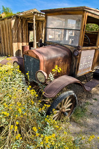 Old date truck by flowers in the southern California desert.