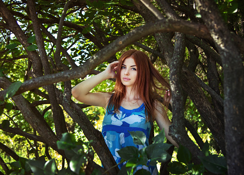 Portrait of beautiful young woman in blue dress standing in a forest framed by tree branches 