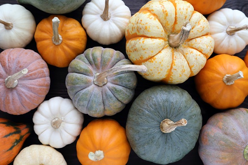 Diverse assortment of pumpkins on a wooden background. Autumn harvest.