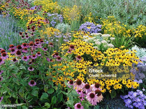 Sommerbrandung Stock Photo - Download Image Now - Yard - Grounds, Perennial, Flower