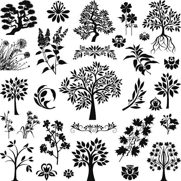 나무와 공장 - single flower flower spring apple tree stock illustrations