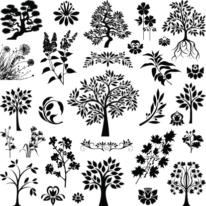 Collection of variable trees,plants and flowers 