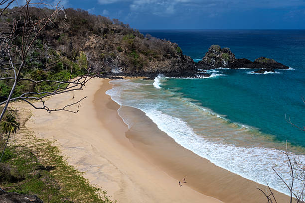 istock Sancho Bay,in Fernando de Noronha 488097385
