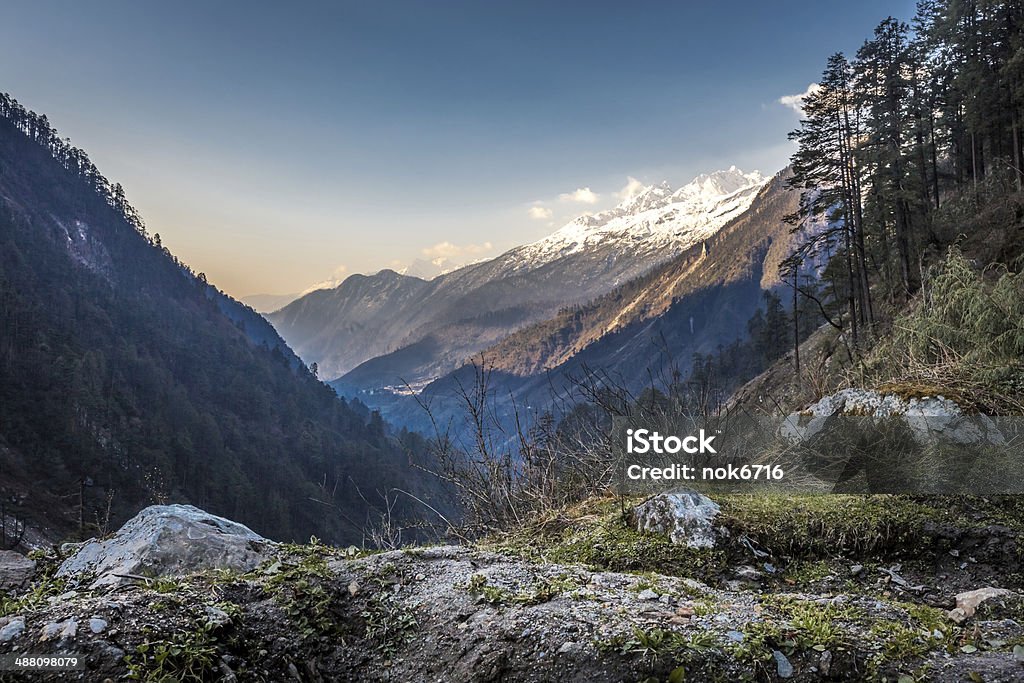 Sunrise at Yumthang valley ,north Sikkim,India Adventure Stock Photo