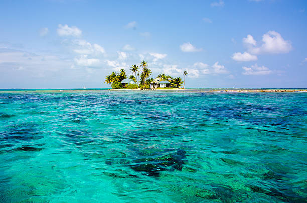 Beautiful Island in Belize Caye Marine Reserve in the near of the southwater caye cay stock pictures, royalty-free photos & images