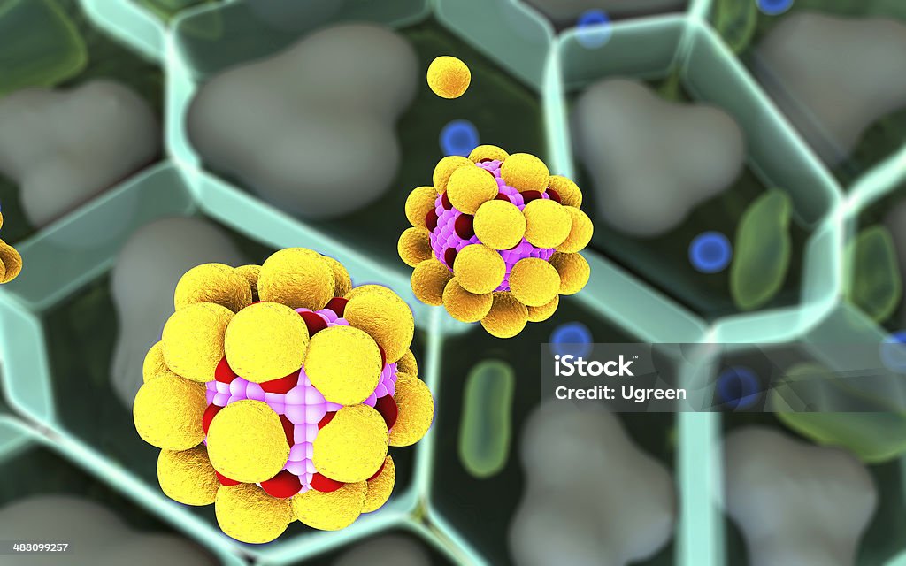 molecule structure field of  fat cells, High quality 3d render of fat cells,  cholesterol in a cells, field of cells,  structure of the molecule, receptors on the cells surface Acid Stock Photo