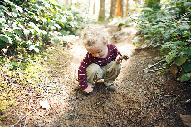 istock Little Boy Exploring in the Woods 488100069