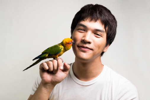 Asian men with parrot - Sun Conure