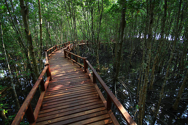 istock Mu Ko Chumphon National Park 488101857