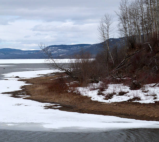 istock Moberly Lake In Winter 488104197