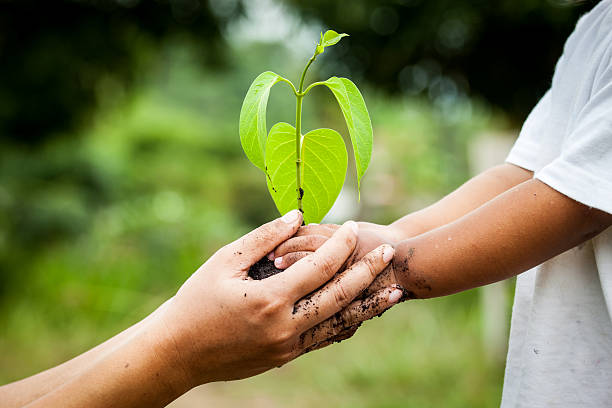 istock Child with parents hand holding young tree in soil together 488108110