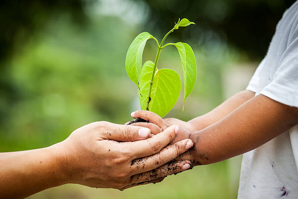 istock Child with parents hand holding young tree in soil together 488108314