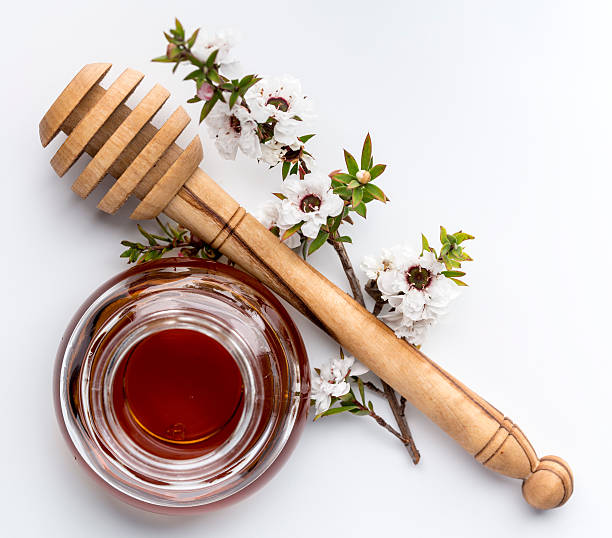 Manuka Italian 2,000+ Manuka Pictures Stock Photos, Pictures & Royalty-Free Images ...