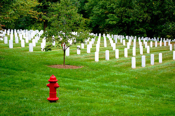 アーリントン国立墓地 - arlington national cemetery virginia cemetery american flag ストックフォトと画像