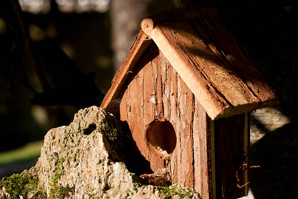istock Wooden birdhouse 488115106