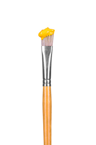 A closeup of art and water color painting equipment with colorful bristles placed. Different shape and size paint brushes on a white canvas background. Variety of artist paintbrushes in a row.