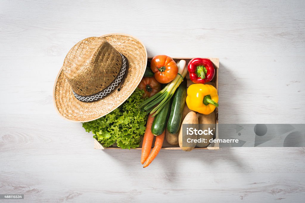 Fresh vegetables in a crate Freshly harvested vegetables in a wooden crate, top view 2015 Stock Photo