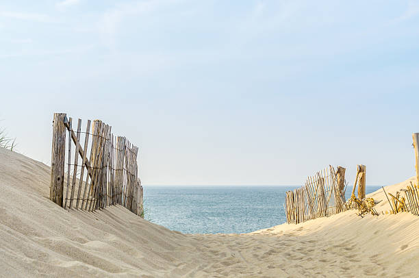 Cape Cod Two Fences two fences frame the pathway to the beach at Provincetown Massachusetts, at sunset sand dune stock pictures, royalty-free photos & images