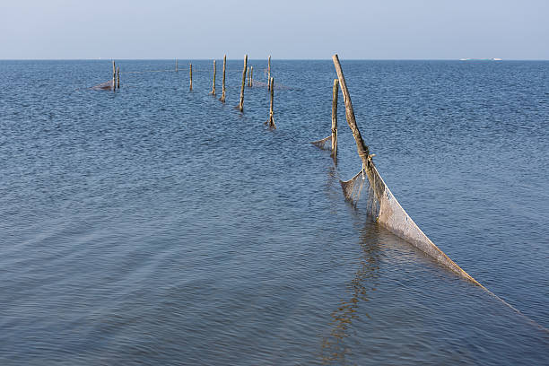 Dutch sea with fishing nets