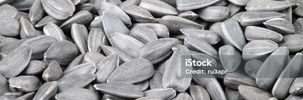 many of sunflower seeds many of sunflower seeds background Backgrounds Stock Photo