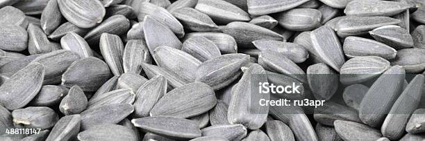 Many Of Sunflower Seeds Stock Photo - Download Image Now - Backgrounds, Black Color, Color Image