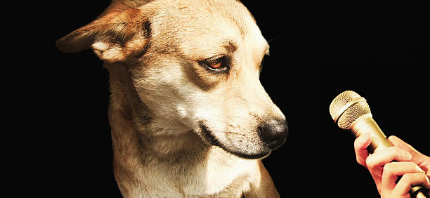istock Do you have anything to say? 488118493