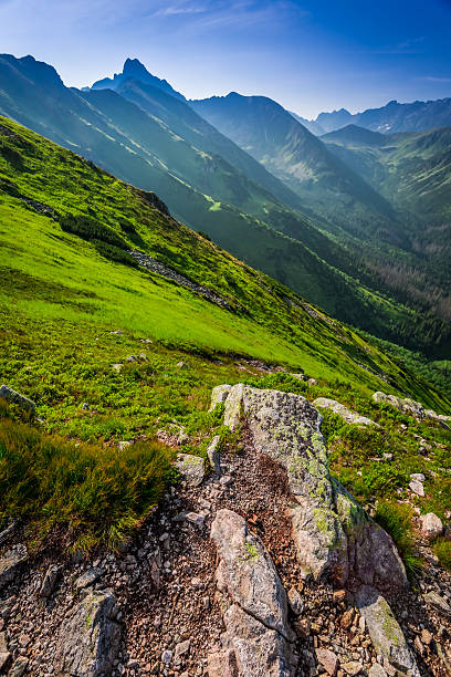 istock Wonderful dawn in the Tatra Mountains 488118950