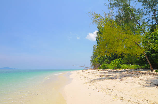 istock Nha Trang beach, Vietnam 488119758