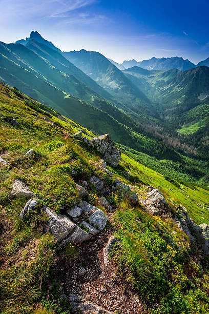 istock Dawn in the Tatra Mountains in summer 488120180