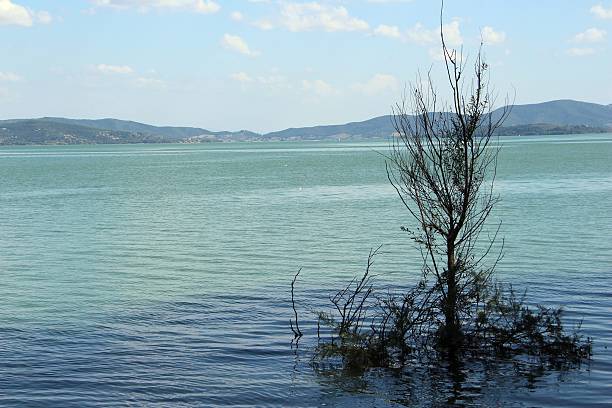 istock trasimeno lake - view 488120378