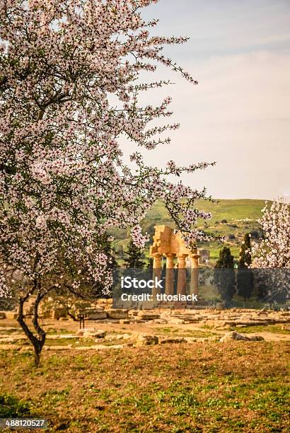 Ruinas Del Templo De Cástor Y Pólux En Resorte Foto de stock y más banco de imágenes de Agrigento - Agrigento, Almendro, Aire libre