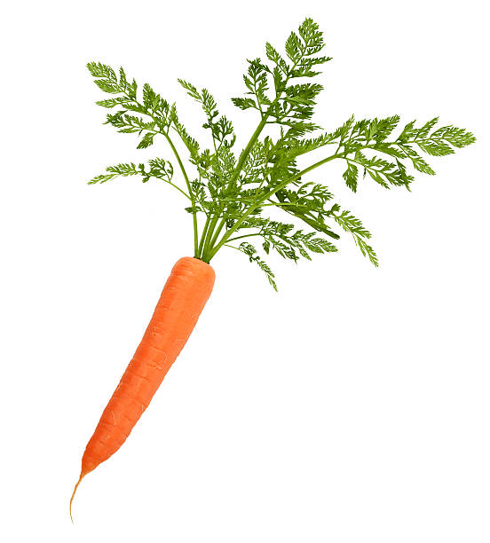 istock Carrot With Leaves Isolated On White 488121181