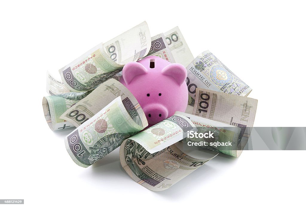 Piggy bank with polish money. Clipping path included. Clipping Path Stock Photo