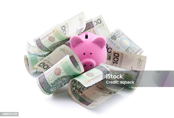 Piggy Bank With Polish Money Clipping Path Included Stock Photo - Download Image Now