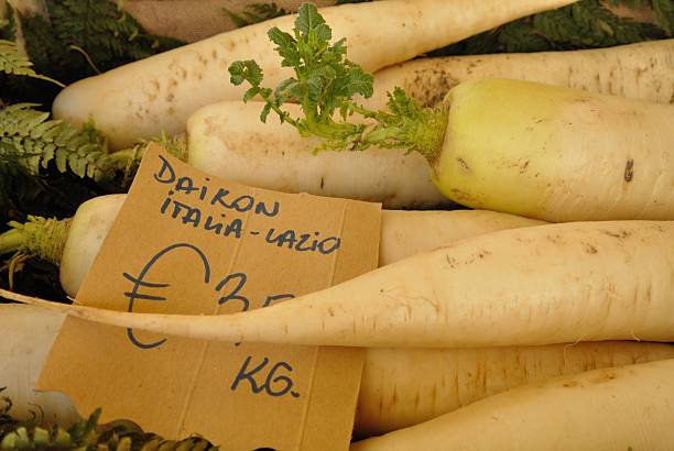 Daikon stock photo